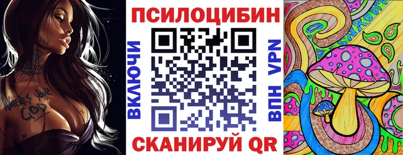 KRAKEN   Абдулино  Псилоцибиновые грибы Psilocybine cubensis 